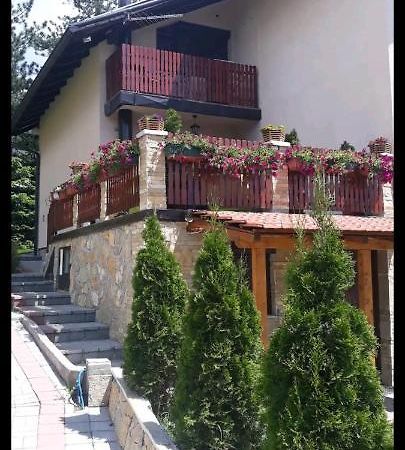 Apartment Niva Zlatibor Kültér fotó