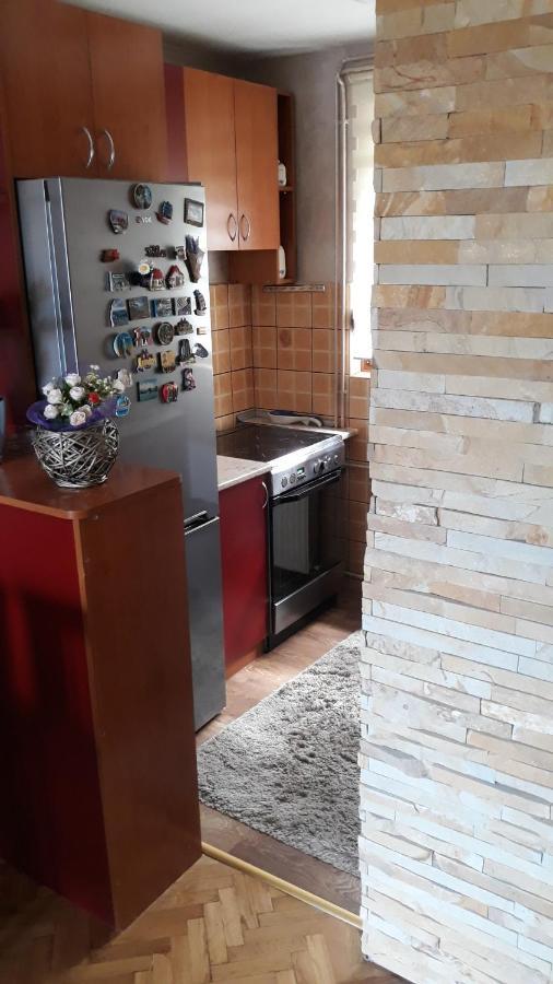 Apartment Niva Zlatibor Kültér fotó