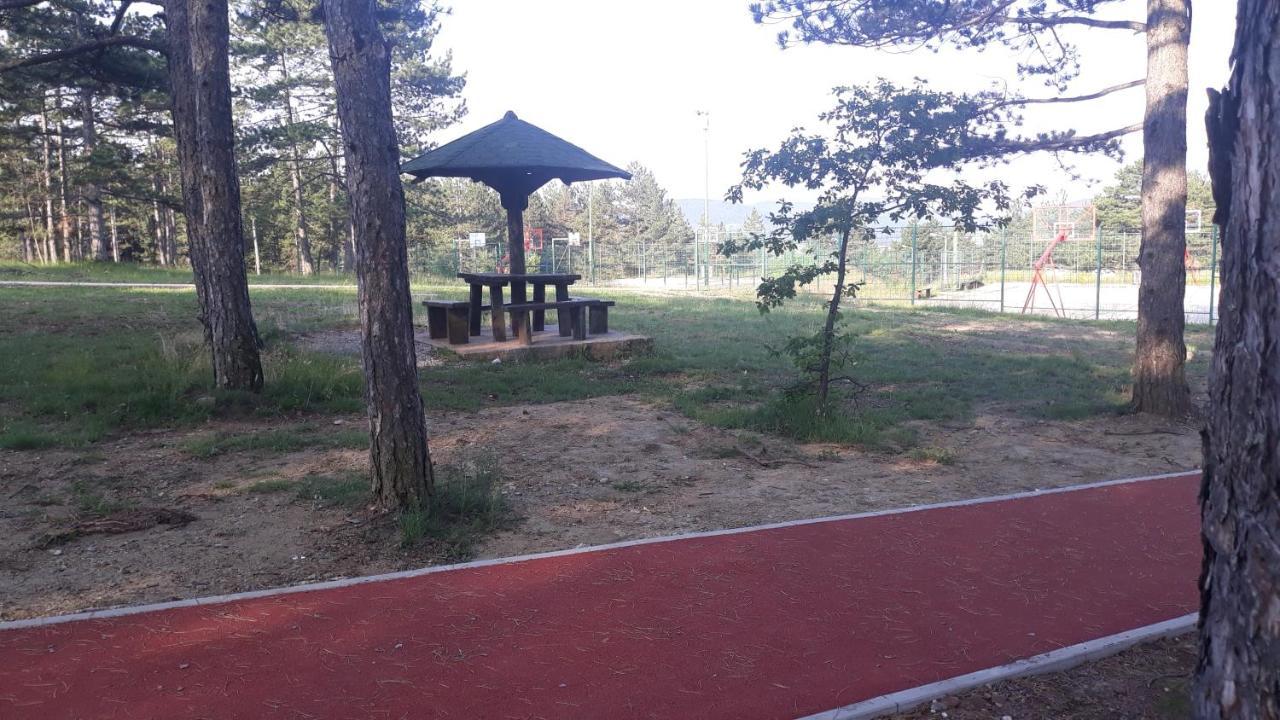 Apartment Niva Zlatibor Kültér fotó