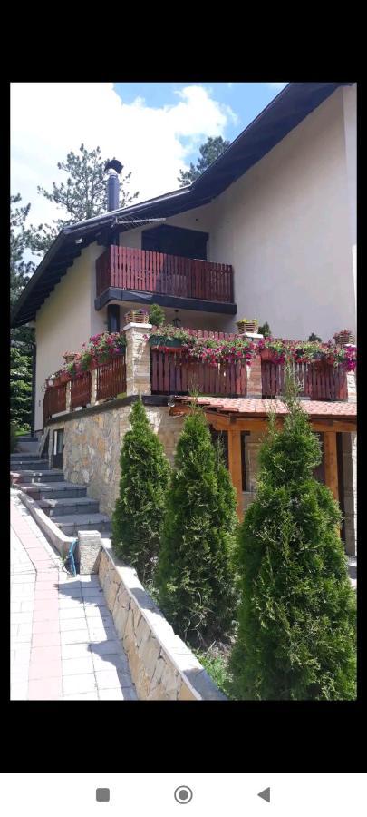 Apartment Niva Zlatibor Kültér fotó