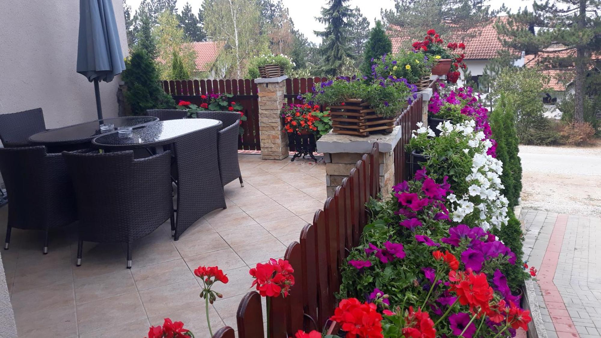 Apartment Niva Zlatibor Kültér fotó