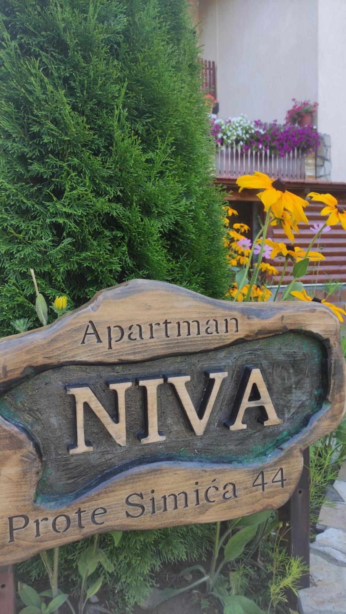 Apartment Niva Zlatibor Kültér fotó