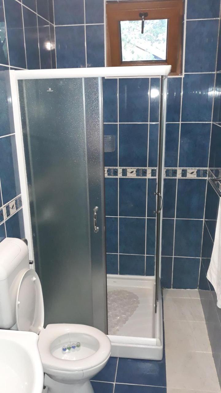 Apartment Niva Zlatibor Kültér fotó